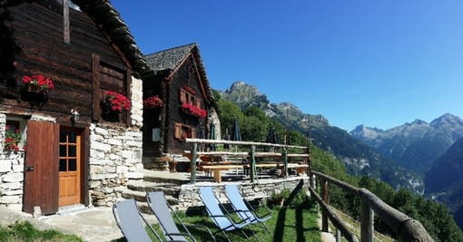 Caldo in quota, le Guide Alpine: "Nessuna montagna è chiusa, valutiamo la sicurezza degli itinerari" Caldo in quota, le Guide Alpine: "Nessuna montagna è chiusa, valutiamo la sicurezza degli itinerari"