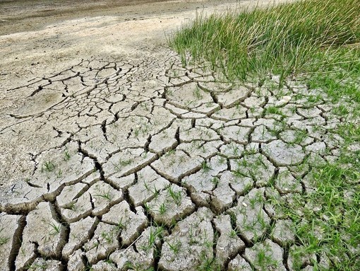 Coldiretti Piemonte: “Servono misure straordinarie per garantire acqua all’agricoltura, cresce il rischio siccità” Coldiretti Piemonte: “Servono misure straordinarie per garantire acqua all’agricoltura, cresce il rischio siccità”