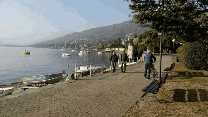 Un giardino d’inverno sul lungolago pallanzese Un giardino d’inverno sul lungolago pallanzese