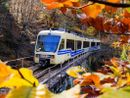 Tutte le sfumature dell’autunno nel Distretto dei Laghi: tra foliage, trekking, sapori ed eventi