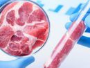 Tre italiani su quattro temono il controllo del cibo da parte delle grandi potenze finanziarie Tre italiani su quattro temono il controllo del cibo da parte delle grandi potenze finanziarie