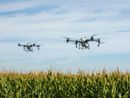 Via libera ai droni in agricoltura: una rivoluzione tecnologica per il settore Via libera ai droni in agricoltura: una rivoluzione tecnologica per il settore