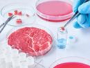 Carne artificiale, Coldiretti: "L'opposizione alla legge va contro la scienza e la salute dei citadini" Carne artificiale, Coldiretti: "L'opposizione alla legge va contro la scienza e la salute dei citadini"