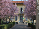 Anche a Verbania si celebra la Giornata dell'Europa