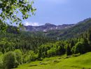 Si tiene in Slovenia l'edizione 2024 di ForumAlpinum