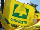 Food for Gaza: l'iniziativa di solidarietà di Coldiretti Piemonte