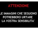 A caccia a bordo di un'auto come se fosse un safari, scoperti dalla Provinciale due cacciatori FOTO E VIDEO A caccia a bordo di un'auto come se fosse un safari, scoperti dalla Provinciale due cacciatori FOTO E VIDEO