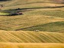 Giornata della Terra, Coldiretti: &quot;Scomparsi in Piemonte 2,4 campi da calcio al giorno&quot;