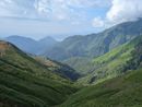 Ripristino ambientale, avviati i lavori di contenimento della felce aquilina in Val Grande