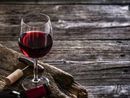 Coldiretti Piemonte rilancia: un comitato per l’Igt e chiarezza sui vini dealcolati Coldiretti Piemonte rilancia: un comitato per l’Igt e chiarezza sui vini dealcolati