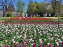 Torna la “Domenica ai Giardini” a Villa Taranto