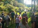 I giardini di Villa Taranto, la sorpresa dell'estate I giardini di Villa Taranto, la sorpresa dell'estate