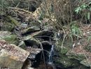 Baveno, al via i lavori di messa in sicurezza del rio Ronco Pariano Baveno, al via i lavori di messa in sicurezza del rio Ronco Pariano