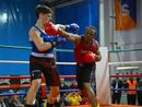 Boxe Verbania trionfa alla Notte dei Guerrieri Ossolani