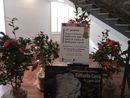 Successo di pubblico per la 57ª edizione della Mostra della Camelia di Verbania Successo di pubblico per la 57ª edizione della Mostra della Camelia di Verbania