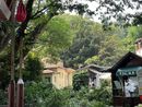 Giardini Botanici, intervento urgente sulla Quercia Monumentale: messa in sicurezza per tutelare i visitatori Giardini Botanici, intervento urgente sulla Quercia Monumentale: messa in sicurezza per tutelare i visitatori