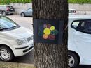 A Omegna targhette colorate sulle piante del lungolago per dare il benvenuto ai turisti A Omegna targhette colorate sulle piante del lungolago per dare il benvenuto ai turisti