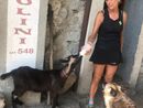 Francobollo d’Oro agli Gnomi del Mastrolino: riconoscimento al cuore del volontariato di Omegna Francobollo d’Oro agli Gnomi del Mastrolino: riconoscimento al cuore del volontariato di Omegna