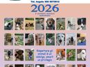 In vendita il calendario 2026 degli “Amici degli Animali” con le foto dei cani adottati In vendita il calendario 2026 degli “Amici degli Animali” con le foto dei cani adottati