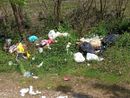 Abbandono di rifiuti a Gravellona Toce, Morandi: "Certi scenari non sono più tollerabili"