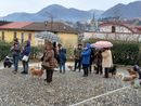 Anche a Omegna la benedizione degli animali FOTO