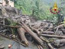 Traffiume, al via il disboscamento