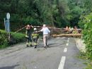 Cannobio: primo sopralluogo geologico dopo la frana di Traffiume FOTO