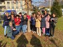 Il simbolico abbraccio agli alberi degli alunni della primaria di Bagnella