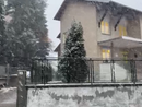 È arrivata la prima neve nel Cusio VIDEO È arrivata la prima neve nel Cusio VIDEO