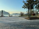 Taglio degli alberi a Intra, il Movimento Difesa del Cittadino: “Scelta senza sensibilità” Taglio degli alberi a Intra, il Movimento Difesa del Cittadino: “Scelta senza sensibilità”