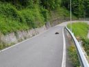 Riaperta dopo un mese la provinciale della Vallestrona Riaperta dopo un mese la provinciale della Vallestrona