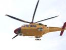 Schiacciato da un albero, grave un 70enne