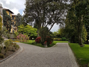 Torna a Villa Giulia la mostra-mercato &quot;Cactus Folies&quot;