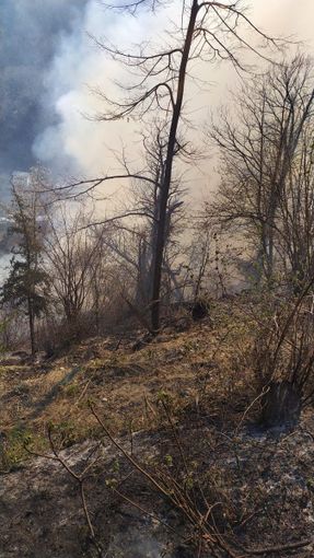 Bosco in fiamme in Valle Cannobina