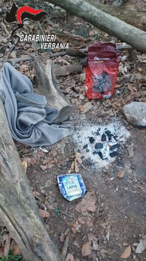 Spaccio nei boschi sopra Stresa: blitz delle forze dell'ordine nel “bazar della droga”