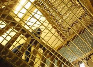 Guinea Bissau, arrestata un'attivista italiana: è in carcere da 5 giorni