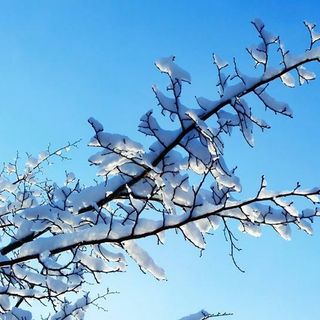 Inverno “caldo” in arrivo: dicembre e gennaio tra piogge e temperature sopra la media