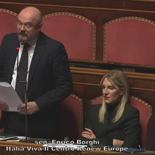 Borghi in Senato: "Serve un cambio di passo sulla viabilità del Vco" VIDEO