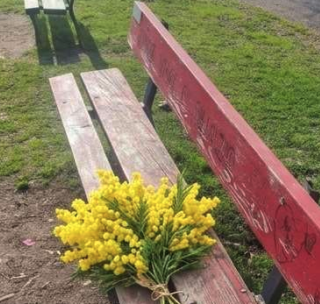 Panchine rosse contro la violenza sulle donne, il M5S chiede più attenzione alla manutenzione
