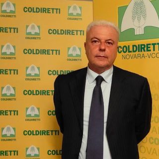 Domenico Pautasso