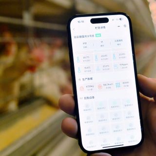 La Cina crea un sistema di registrazione per i diritti di proprietà dei dati
