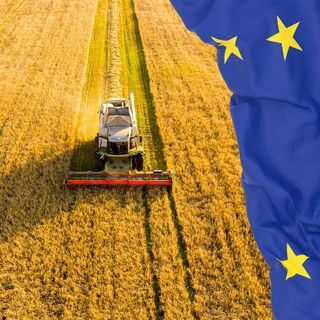 Coldiretti contro i tagli Ue alla Politica Agricola Comune