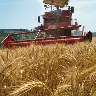 Legge di bilancio 2024: sostegno all’agricoltura e misure contro i danni climatici