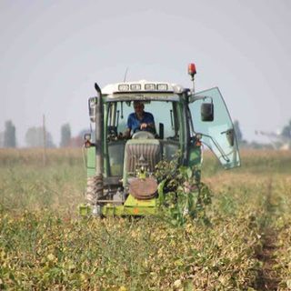 Sviluppo rurale, altri 4,2 milioni di euro sul bando 2020