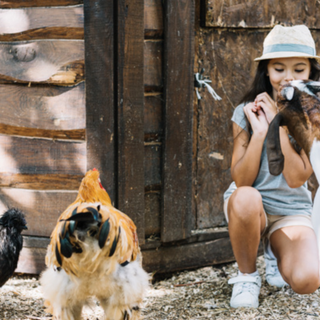 Nuovo regolamento regionale per le fattorie didattiche piemontesi