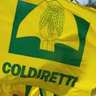 E' legge il divieto a produrre e commercializzare cibi a base cellulare