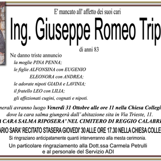 Ing. Giuseppe Romeo Tripepi83 anni