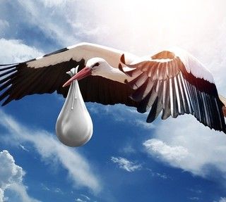 Solo in quindici comuni del Vco si nasce di più che nel resto d'Italia