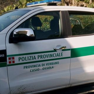 Sessantanove aspiranti per due posti da agente della polizia provinciale nel Vco