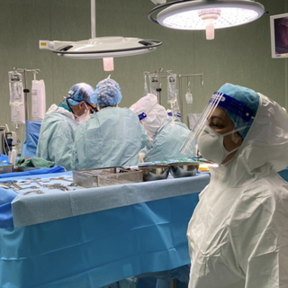 In tre anni nel Vco 75 donazioni di organi. L'Asl: &quot;Una scelta importante&quot;